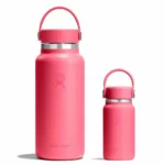Hydro Flask Micro Hydro Popsterroze 200 ml Mini Thermosfles